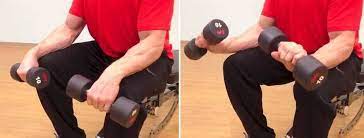Dumbell wrist extensions