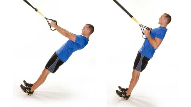 TRX Suspension rows SUP Fitness Bodyweight exercises 