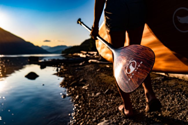 Sea Lion stand up paddles
