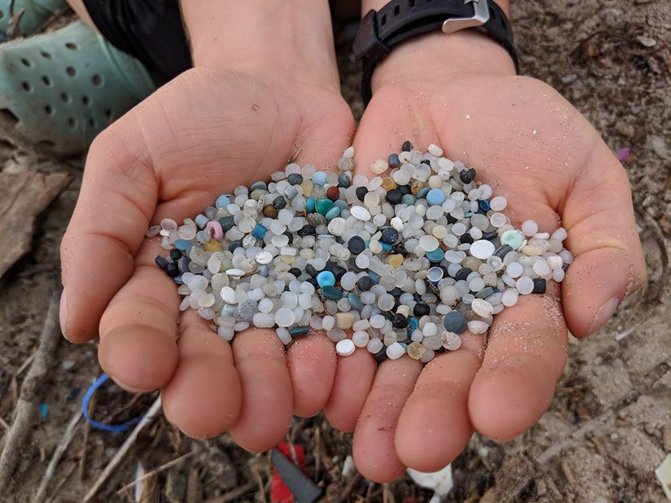 nordles A Paddle against Plastic Shoreline A Greener Future Canada