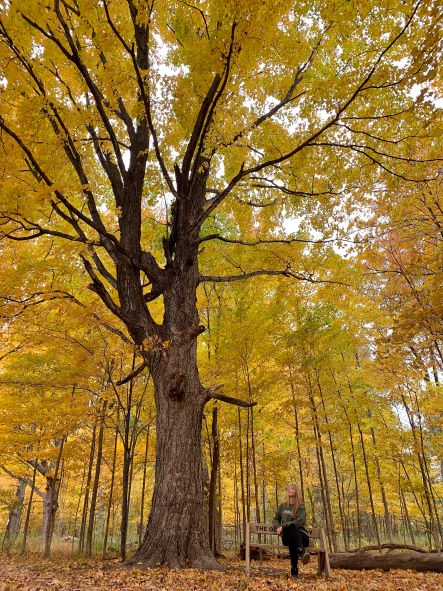 Fall_Maywood Visit Sheboygan Wisconsin hiking
