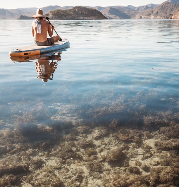 Surftech wanderpreneurs inflatabe sup stand up paddleboarding